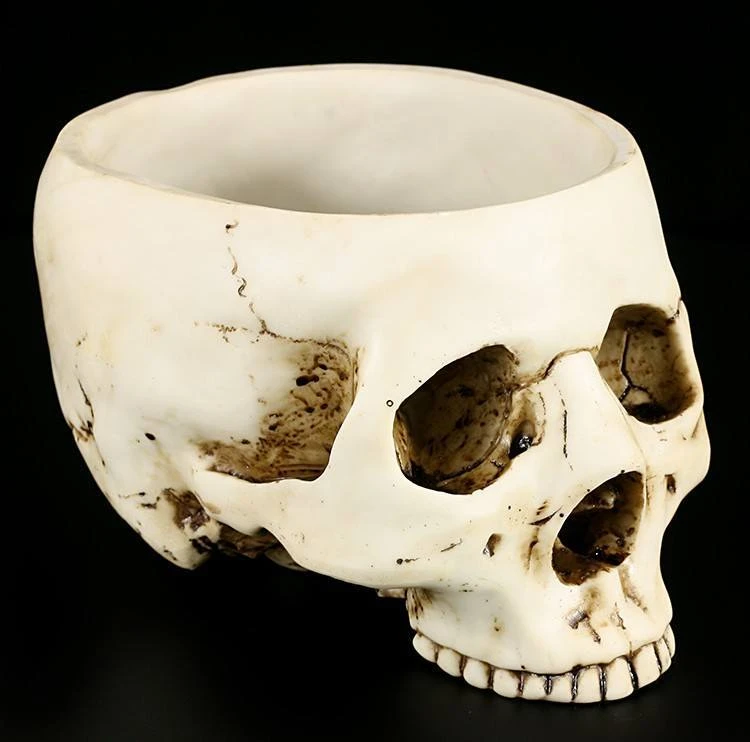 Totenkopf Schale 3 Totenkopf Schale