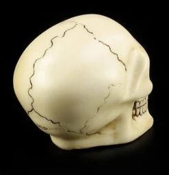 Totenkopf Schaltknauf - Knochenfarben -Statuen Modell Verkauf 10870 4 skull gear knob 4 1280x1280