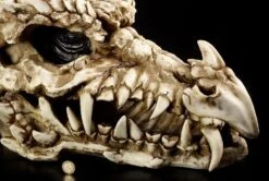 Riesen-Drachenschädel -Statuen Modell Verkauf 1202 3 drachenschaedel 3 1280x1280