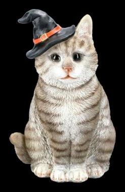 Graue Hexen-Katze Mit Zauberhut