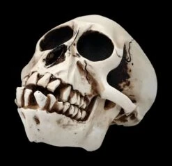 Affen Totenkopf Mit Beweglichem Unterkiefer -Statuen Modell Verkauf 2D Ersatzbilder FS20087 Y8036 9 1280x1280