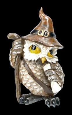 Eulen Figuren 2er Set - Zauberer -Statuen Modell Verkauf 2D FA39697 Eulen Figuren 2er Set Zauberer 96d6S3sqzdFMwu 1280x1280