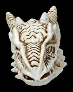 Alchemy Drachen Schädel - Klein -Statuen Modell Verkauf 2D FS21902 Alchemy Drachen Schaedel klein 2 1280x1280