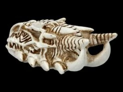 Alchemy Drachen Schädel - Klein -Statuen Modell Verkauf 2D FS21902 Alchemy Drachen Schaedel klein 4 1280x1280