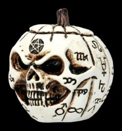 Alchemy Kürbis Schädel - Klein 11 Alchemy Kürbis Schädel - Klein -Statuen Modell Verkauf 2D FS21903 Alchemy Kuerbis Schaedel klein 4 1280x1280