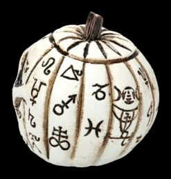 Alchemy Kürbis Schädel - Klein 12 Alchemy Kürbis Schädel - Klein -Statuen Modell Verkauf 2D FS21903 Alchemy Kuerbis Schaedel klein 5 1280x1280