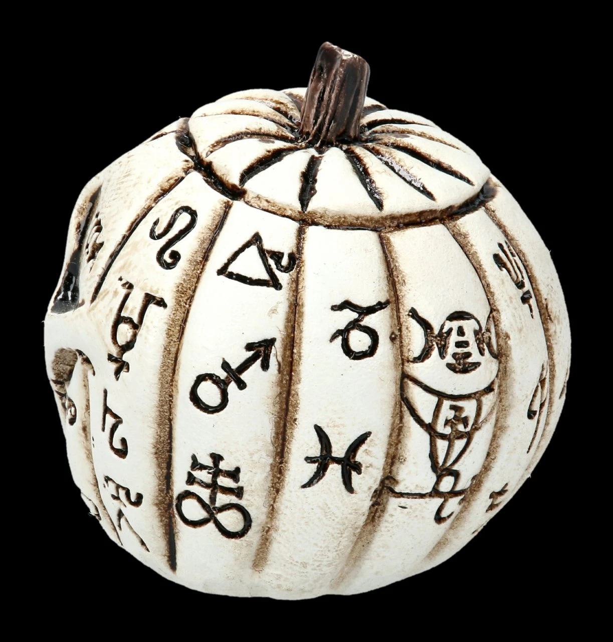 Alchemy Kürbis Schädel - Klein 7 Alchemy Kürbis Schädel - Klein – Bild 5