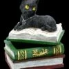 Schatulle - Katze Auf Grünen Büchern -Statuen Modell Verkauf 2D FS21977 Schatulle Katze auf greunen Buechern 3 1280x1280