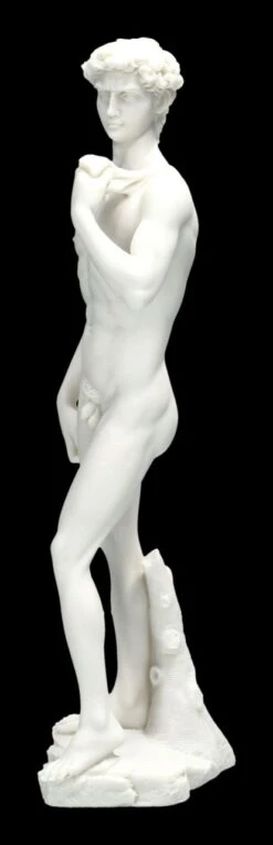 David Figur Weiß Nach Michelangelo -Statuen Modell Verkauf 2D FS22284 David Figur weiss nach Michelangelo 4 1280x1280