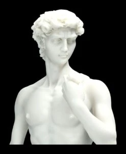 David Figur Weiß Nach Michelangelo -Statuen Modell Verkauf 2D FS22284 David Figur weiss nach Michelangelo 8 1280x1280