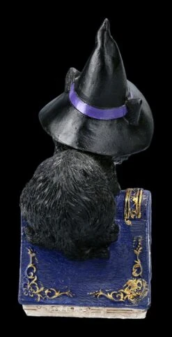 Kleine Hexenkatzen Figur - Pocus 14 Kleine Hexenkatzen Figur - Pocus -Statuen Modell Verkauf 2D FS22368 Kleine Hexenkatzen Figur Pocus 4iclMWOqyjZjk8 1280x1280