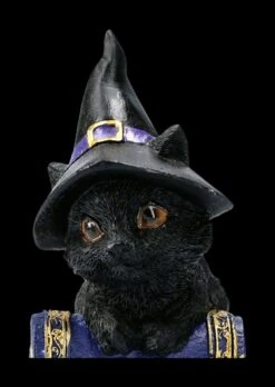 Kleine Hexenkatzen Figur - Pocus 16 Kleine Hexenkatzen Figur - Pocus -Statuen Modell Verkauf 2D FS22368 Kleine Hexenkatzen Figur Pocus 8bSWerpYfOFHLV 1280x1280