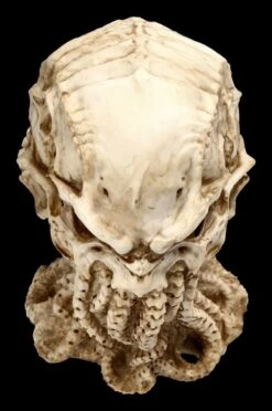 Cthulhu Totenkopf Figur By James Ryman 19 Cthulhu Totenkopf Figur By James Ryman -Statuen Modell Verkauf 2D FS22466 Cthulhu Totenkopf Figur by James Ryman 9 1280x1280