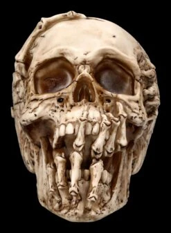 Totenkopf Figur - Breaking Out By James Ryman -Statuen Modell Verkauf 2D FS22481 Totenkopf Figur Breaking Out by James Ryman 1 1280x1280