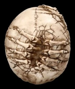 Totenkopf Figur - Breaking Out By James Ryman -Statuen Modell Verkauf 2D FS22481 Totenkopf Figur Breaking Out by James Ryman 3 1280x1280