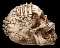 Totenkopf Figur - Breaking Out By James Ryman -Statuen Modell Verkauf 2D FS22481 Totenkopf Figur Breaking Out by James Ryman 4 1280x1280