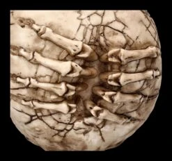 Totenkopf Figur - Breaking Out By James Ryman -Statuen Modell Verkauf 2D FS22481 Totenkopf Figur Breaking Out by James Ryman 6 1280x1280