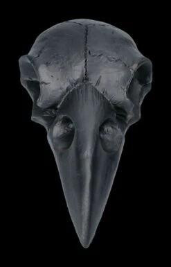 Handspiegel - Rabenschädel Schwarz -Statuen Modell Verkauf 2D FS22639 Handspiegel Rabenschaedel schwarz 1 1280x1280