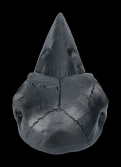 Handspiegel - Rabenschädel Schwarz -Statuen Modell Verkauf 2D FS22639 Handspiegel Rabenschaedel schwarz 3 1280x1280