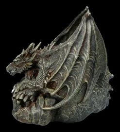 Spiral Drache Auf Totenkopf - Draco Skull -Statuen Modell Verkauf 2D FS22708 Drache auf Totenkopf Draco Skull 3 1280x1280