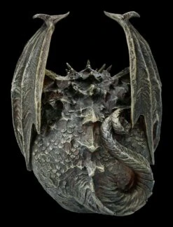 Spiral Drache Auf Totenkopf - Draco Skull -Statuen Modell Verkauf 2D FS22708 Drache auf Totenkopf Draco Skull 4 1280x1280