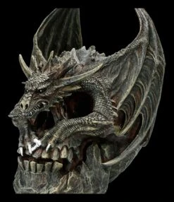 Spiral Drache Auf Totenkopf - Draco Skull -Statuen Modell Verkauf 2D FS22708 Drache auf Totenkopf Draco Skull 7 1280x1280