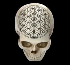 Totenkopf - Heilige Geometrie - Blume Des Lebens -Statuen Modell Verkauf 2D FS23021 Totenkopf Heilige Geometrie Blume des Lebens 11 1280x1280