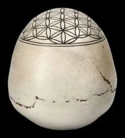 Totenkopf - Heilige Geometrie - Blume Des Lebens -Statuen Modell Verkauf 2D FS23021 Totenkopf Heilige Geometrie Blume des Lebens 4 1280x1280