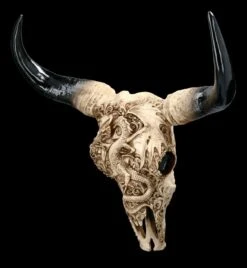 Wandrelief Stier Schädel - Drachenmotiv Groß -Statuen Modell Verkauf 2D FS23374 Wandrelief Stier Schadel Drachenmotiv gross 8 1280x1280