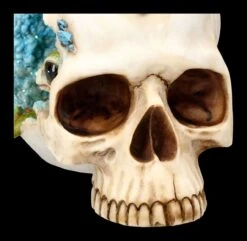 Totenkopf Mit Drache - Crystal Cave Blue 17 Totenkopf Mit Drache - Crystal Cave Blue -Statuen Modell Verkauf 2D FS23381 Totenkopf mit Drache Crystal Cave Blue 13 1280x1280