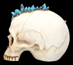 Totenkopf Mit Drache - Crystal Cave Blue 13 Totenkopf Mit Drache - Crystal Cave Blue -Statuen Modell Verkauf 2D FS23381 Totenkopf mit Drache Crystal Cave Blue 8 1280x1280