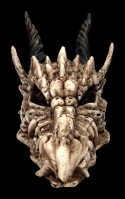 Schatulle - Drachen Totenschädel -Statuen Modell Verkauf 2D FS23495 Schatulle DrachenTotensch del 1He7tpnxrA1iu6 1280x1280