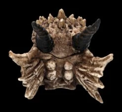 Schatulle - Drachen Totenschädel -Statuen Modell Verkauf 2D FS23495 Schatulle DrachenTotensch del 3F3IRplMFaPRwE 1280x1280