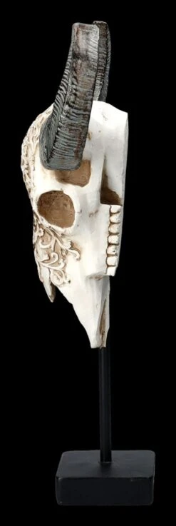 Bullen Totenkopf - Verziert Mit Ständer 11 Bullen Totenkopf - Verziert Mit Ständer -Statuen Modell Verkauf 2D FS23525 Bullen Totenkopf mit Verzierungen und St nder 2 1280x1280