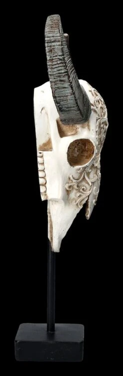 Bullen Totenkopf - Verziert Mit Ständer 13 Bullen Totenkopf - Verziert Mit Ständer -Statuen Modell Verkauf 2D FS23525 Bullen Totenkopf mit Verzierungen und St nder 4 1280x1280
