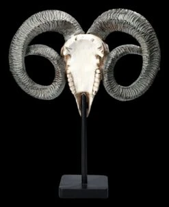 Widder Totenkopf - Verziert Mit Ständer 13 Widder Totenkopf - Verziert Mit Ständer -Statuen Modell Verkauf 2D FS23527 Widder Totenkopf mit Verzeirungen und St nder 3 1280x1280