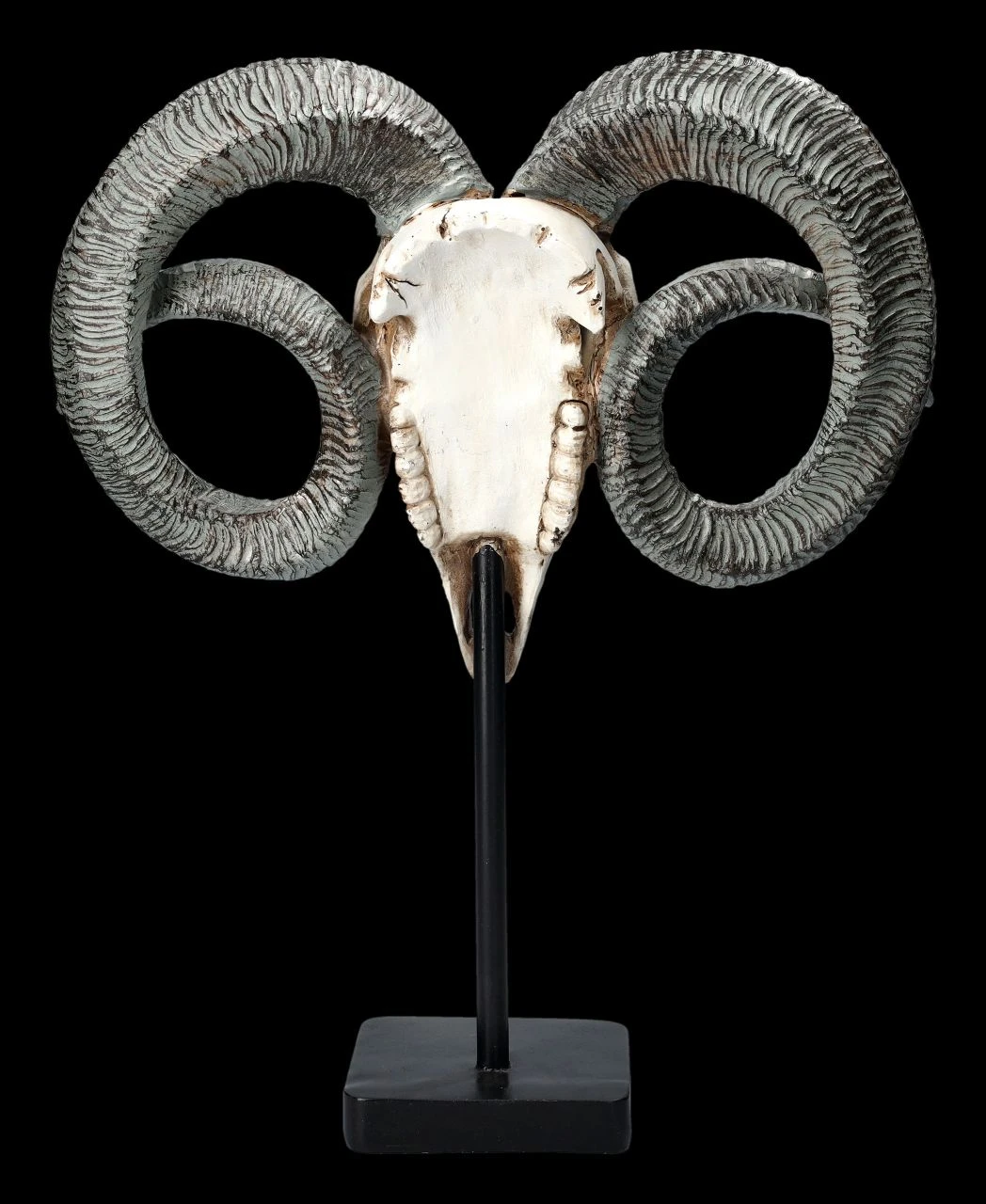 Widder Totenkopf - Verziert Mit Ständer 7 Widder Totenkopf - Verziert Mit Ständer – Bild 5