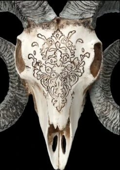 Widder Totenkopf - Verziert Mit Ständer 15 Widder Totenkopf - Verziert Mit Ständer -Statuen Modell Verkauf 2D FS23527 Widder Totenkopf mit Verzeirungen und St nder 8 1280x1280