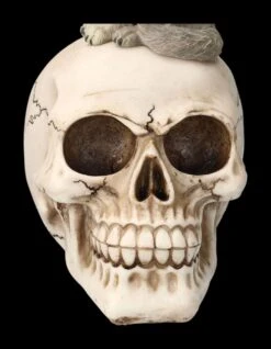 Totenkopf Mit Grauem Wolf -Statuen Modell Verkauf 2D FS23931 Totenkopf mit grauem Wolf 10 1280x1280