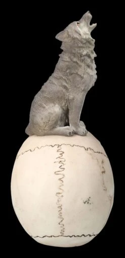 Totenkopf Mit Grauem Wolf -Statuen Modell Verkauf 2D FS23931 Totenkopf mit grauem Wolf 5 1280x1280