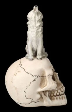 Totenkopf Mit Grauem Wolf -Statuen Modell Verkauf 2D FS23931 Totenkopf mit grauem Wolf 6 1280x1280