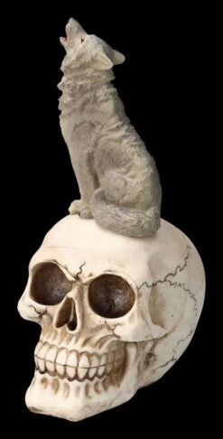 Totenkopf Mit Grauem Wolf -Statuen Modell Verkauf 2D FS23931 Totenkopf mit grauem Wolf 8 1280x1280