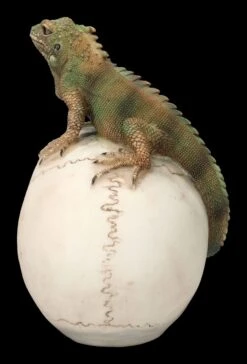 Totenkopf Mit Leguan -Statuen Modell Verkauf 2D FS23932 Totenkopf mit Leguan 3 1280x1280