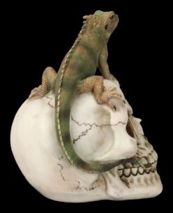 Totenkopf Mit Leguan -Statuen Modell Verkauf 2D FS23932 Totenkopf mit Leguan 4 1280x1280