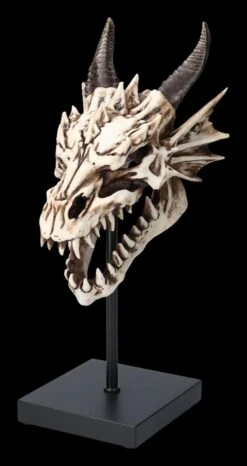 Drachen Totenkopf Auf Ständer -Statuen Modell Verkauf 2D FS23949 Drachen Totenkopf auf St nder 9 1280x1280
