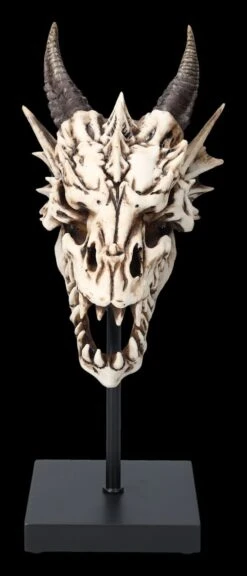 Drachen Totenkopf Auf Ständer -Statuen Modell Verkauf 2D FS23949 Drachen Totenkopf auf Stander 4 1280x1280