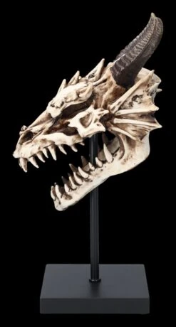 Drachen Totenkopf Auf Ständer -Statuen Modell Verkauf 2D FS23949 Drachen Totenkopf auf Stander 5 1280x1280