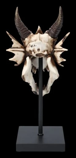 Drachen Totenkopf Auf Ständer -Statuen Modell Verkauf 2D FS23949 Drachen Totenkopf auf Stander 6 1280x1280