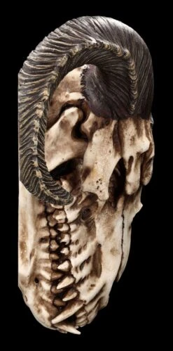 Wandrelief - Teuflischer Schädel Mit Pentagramm -Statuen Modell Verkauf 2D FS23952 Wandrelief Teuflischer Schadel mit Pentagramm 11 1280x1280