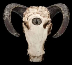 Wandrelief - Teuflischer Schädel Mit Pentagramm -Statuen Modell Verkauf 2D FS23952 Wandrelief Teuflischer Schadel mit Pentagramm 12 1280x1280